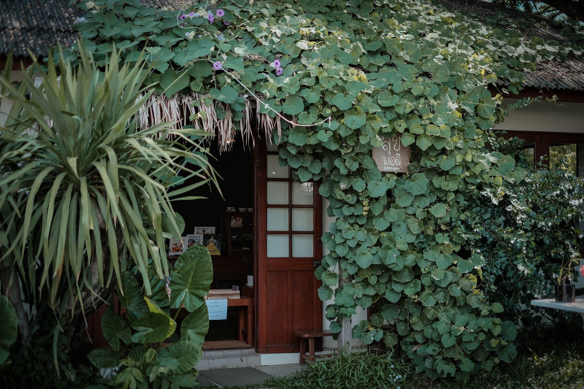 คาเฟ่เชียงใหม่