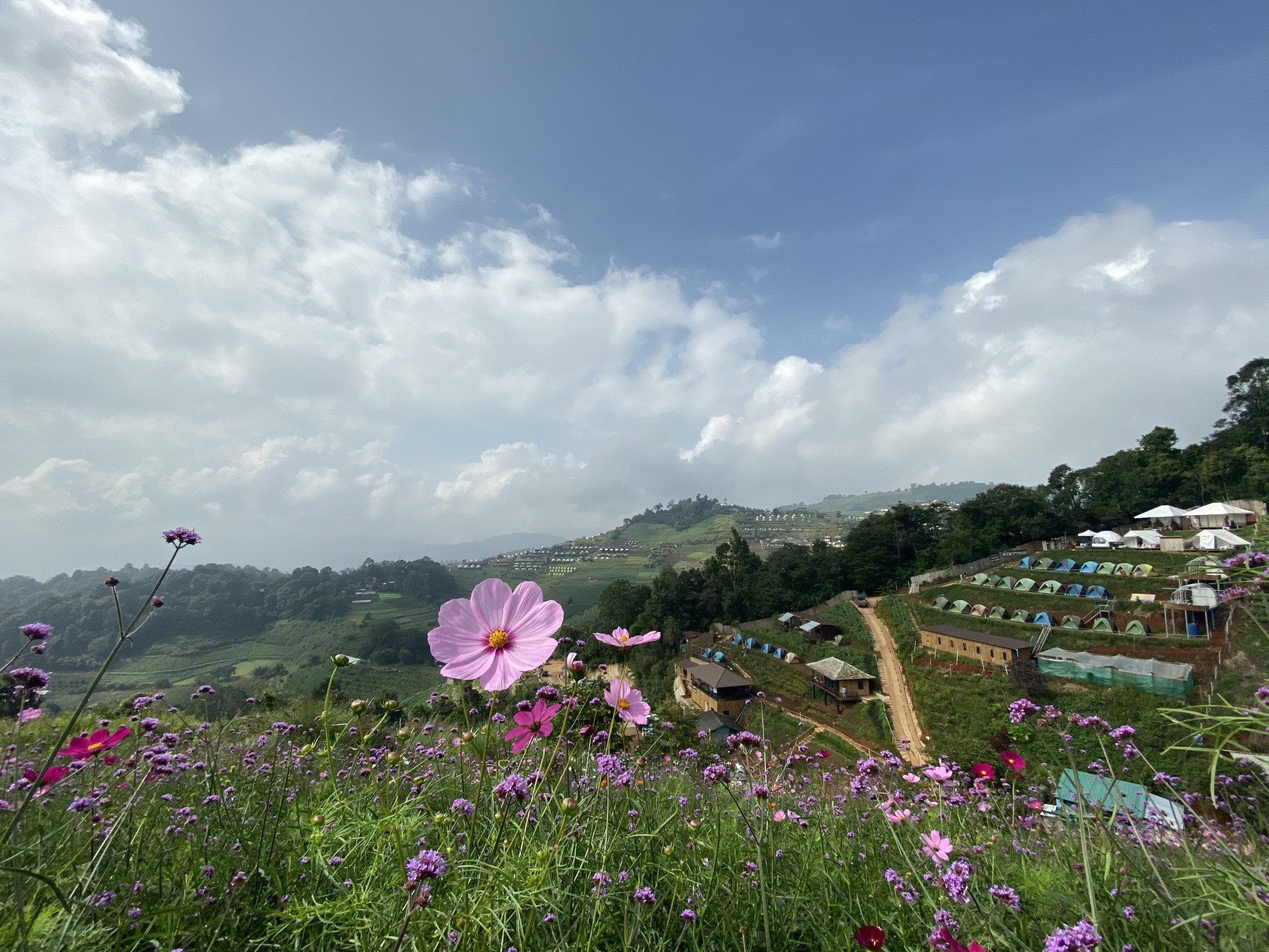 ม่อนแจ่ม,สถานที่ท่องเที่ยวเชียงใหม่,ที่พัก