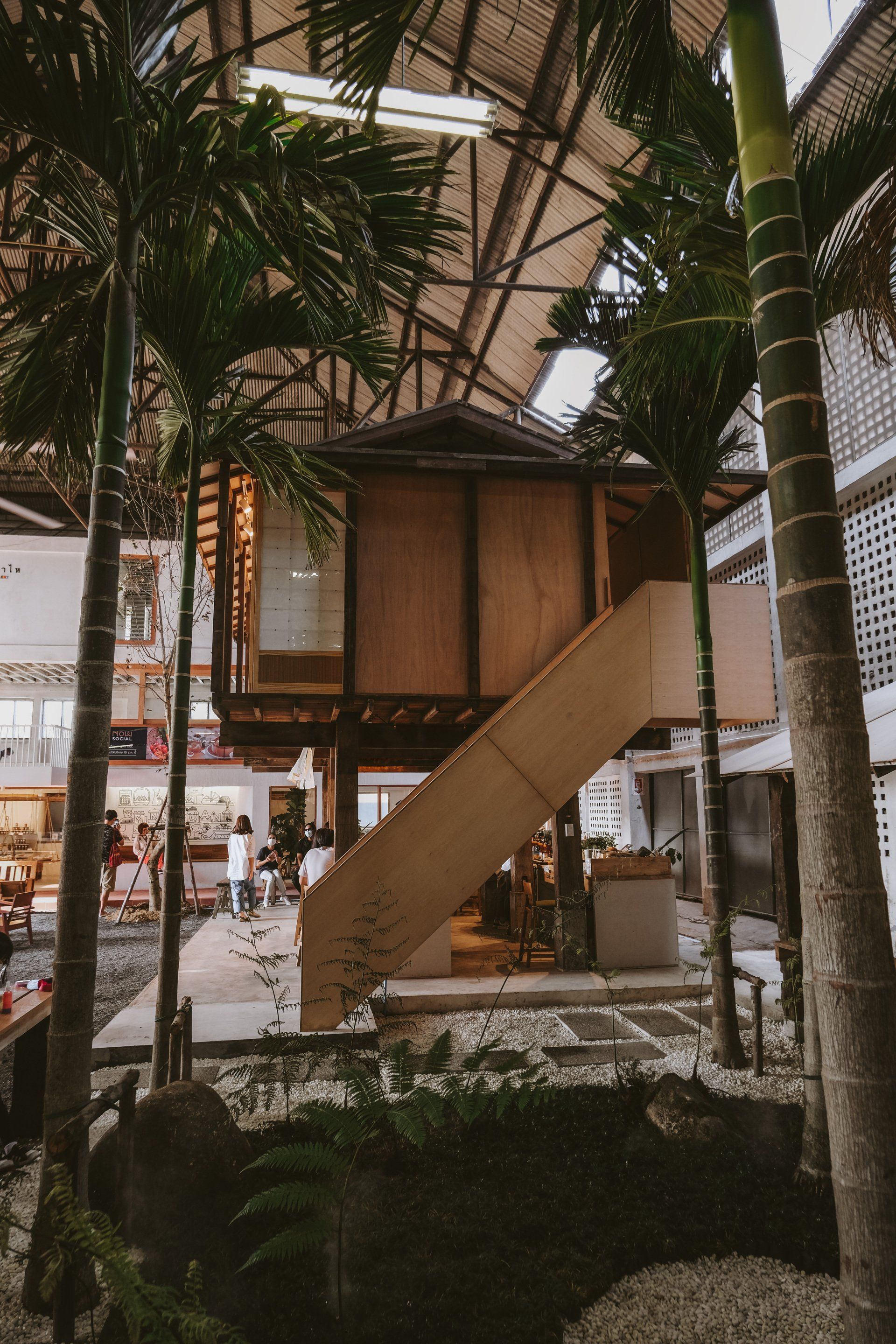 คาเฟ่ เชียงใหม่ รีวิว แแม่ริม