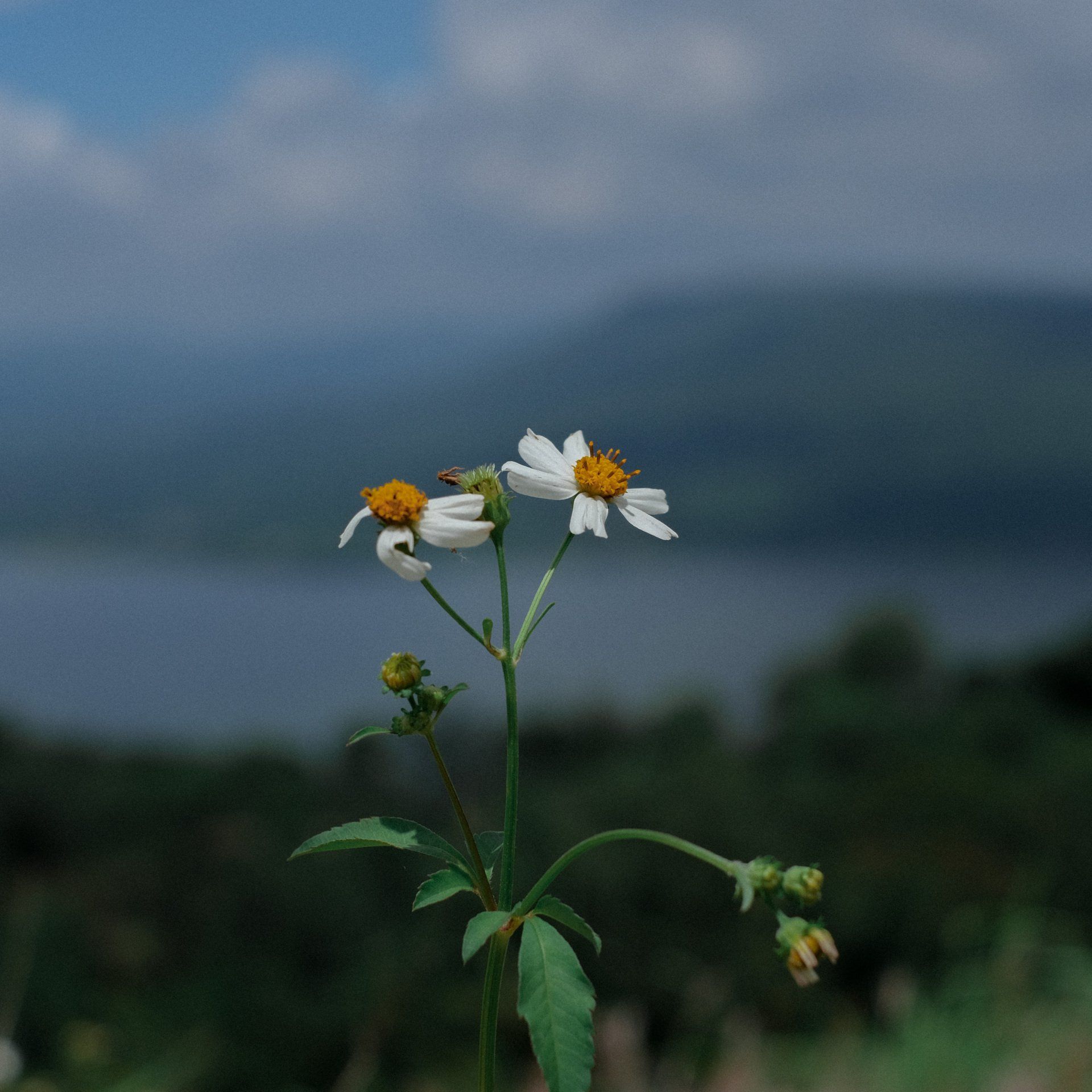 สถานที่ท่องเที่ยวโคราช,เขาใหญ่,เขายายเที่ยง,เขื่อนลำตะคอง,ถ่ายรูป,ท่องเที่ยว