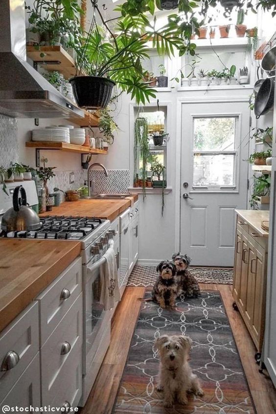 แต่งบ้าน,แต่งห้องครัว,ไอเดีย,ที่พัก,ห้องครัว,ทำอาหาร