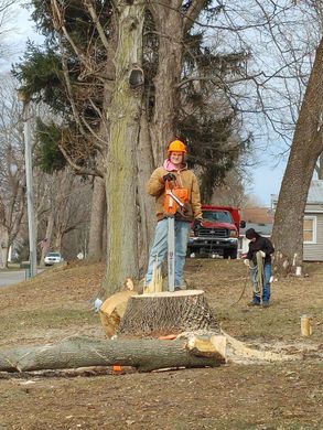 Stump Removal