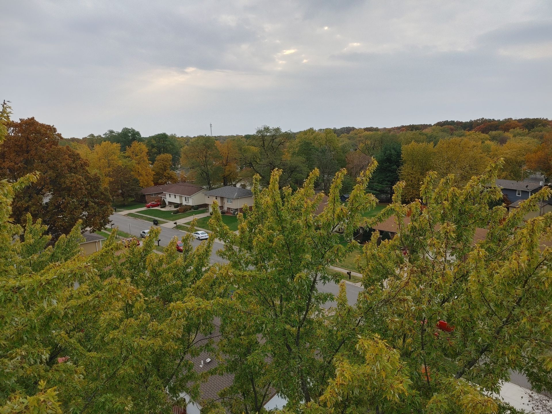 An aerial view of a residential area with trees and houses in the background.