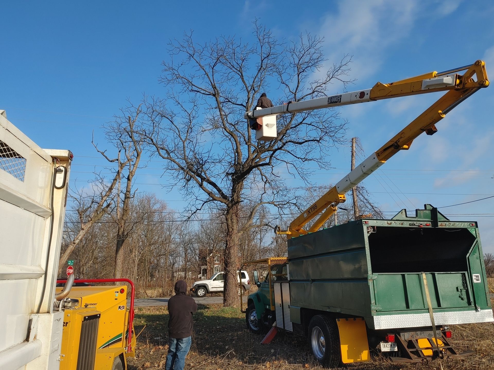 A man in a bucket is cutting a tree with a crane