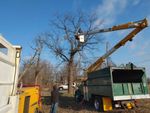 Tree Removal