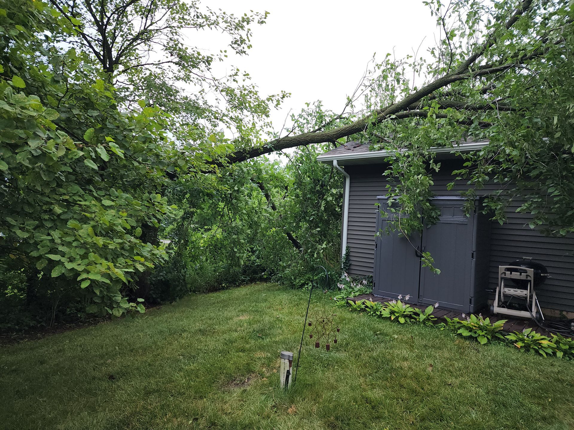 A tree has fallen on the roof of a house.