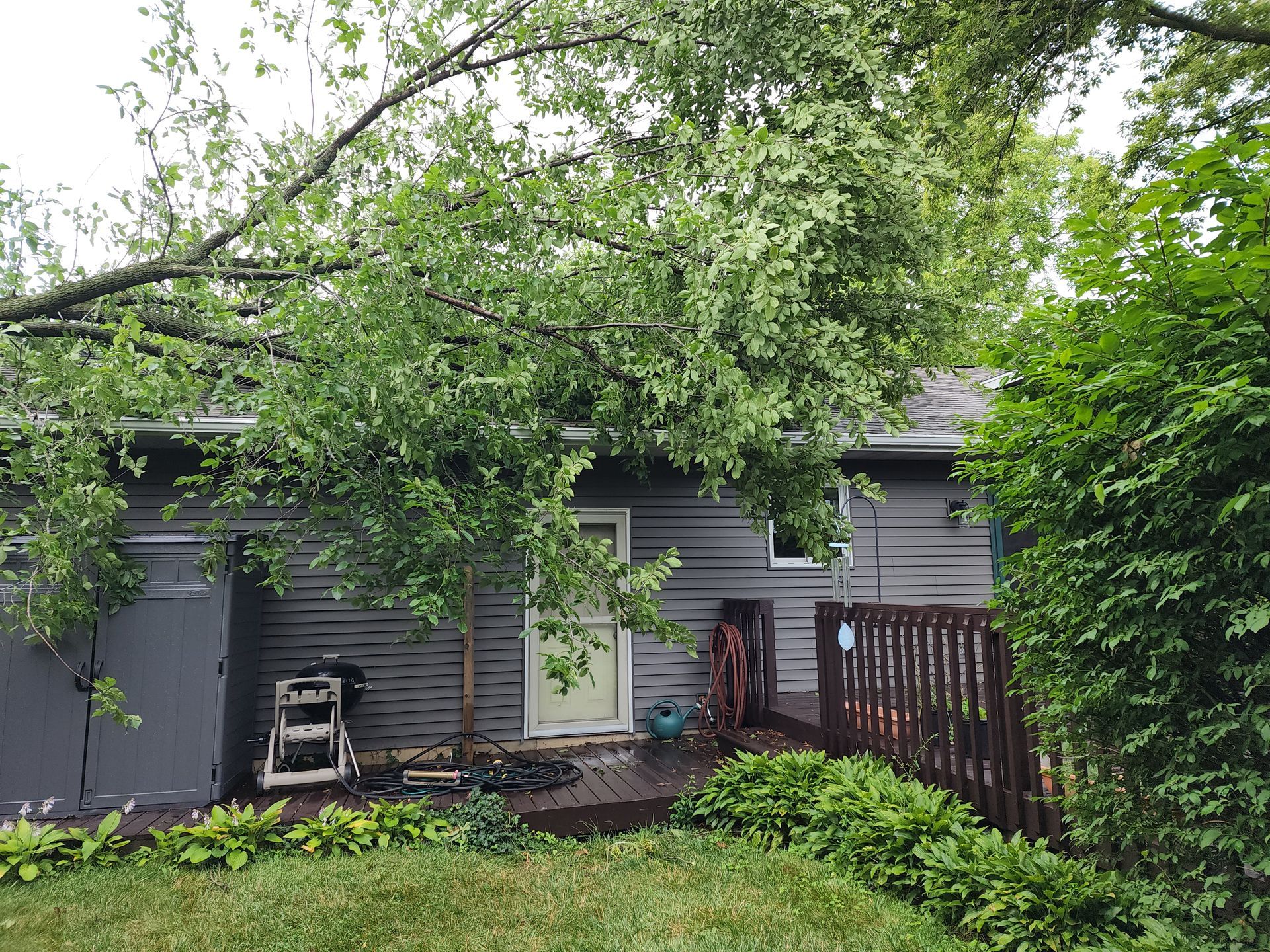 Emergency Tree Removal Chesterton, IN