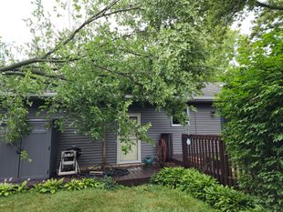 Emergency Tree Removal Portage, IN