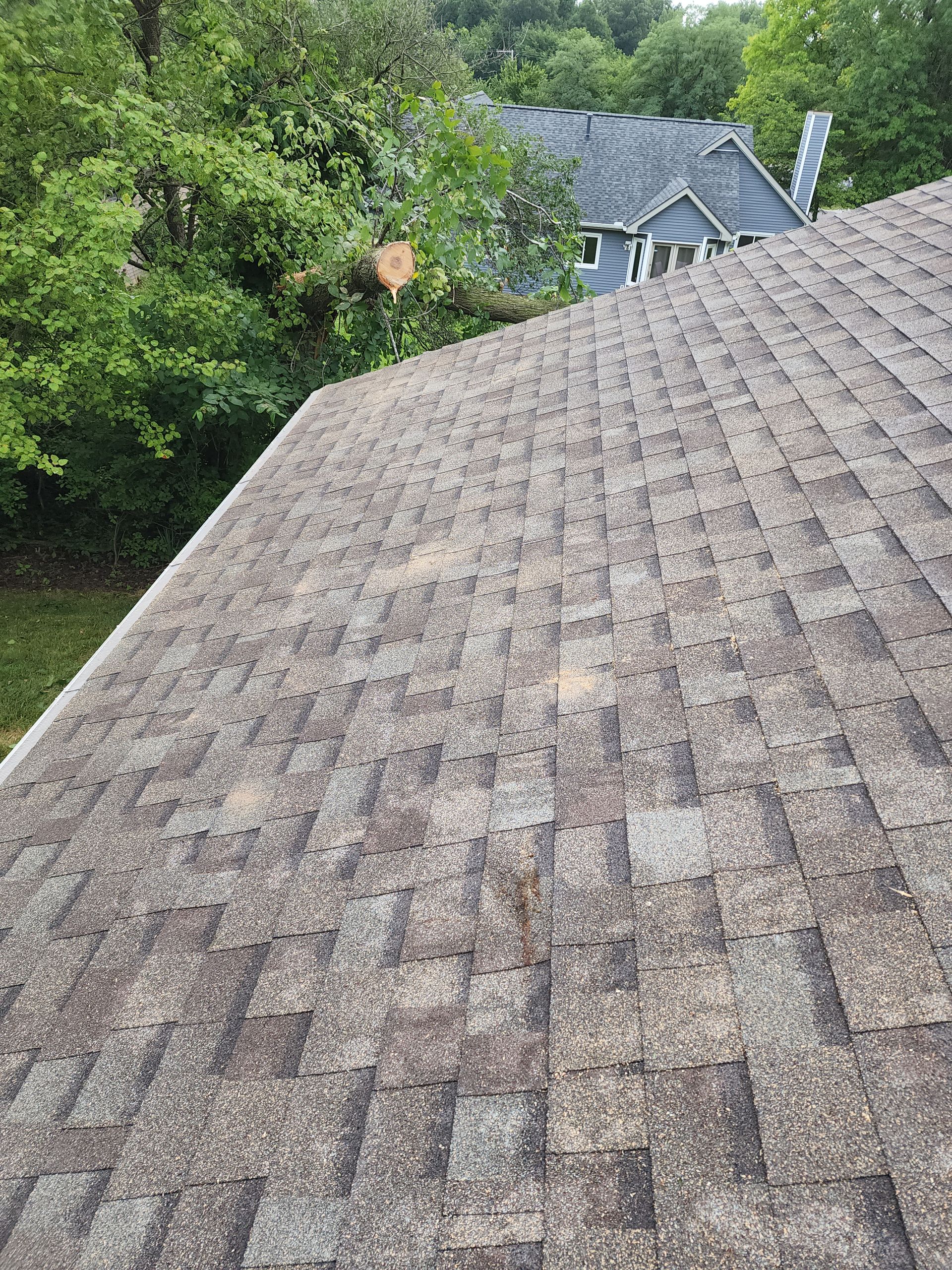 A close up of a roof with trees in the background after emergency tree removal