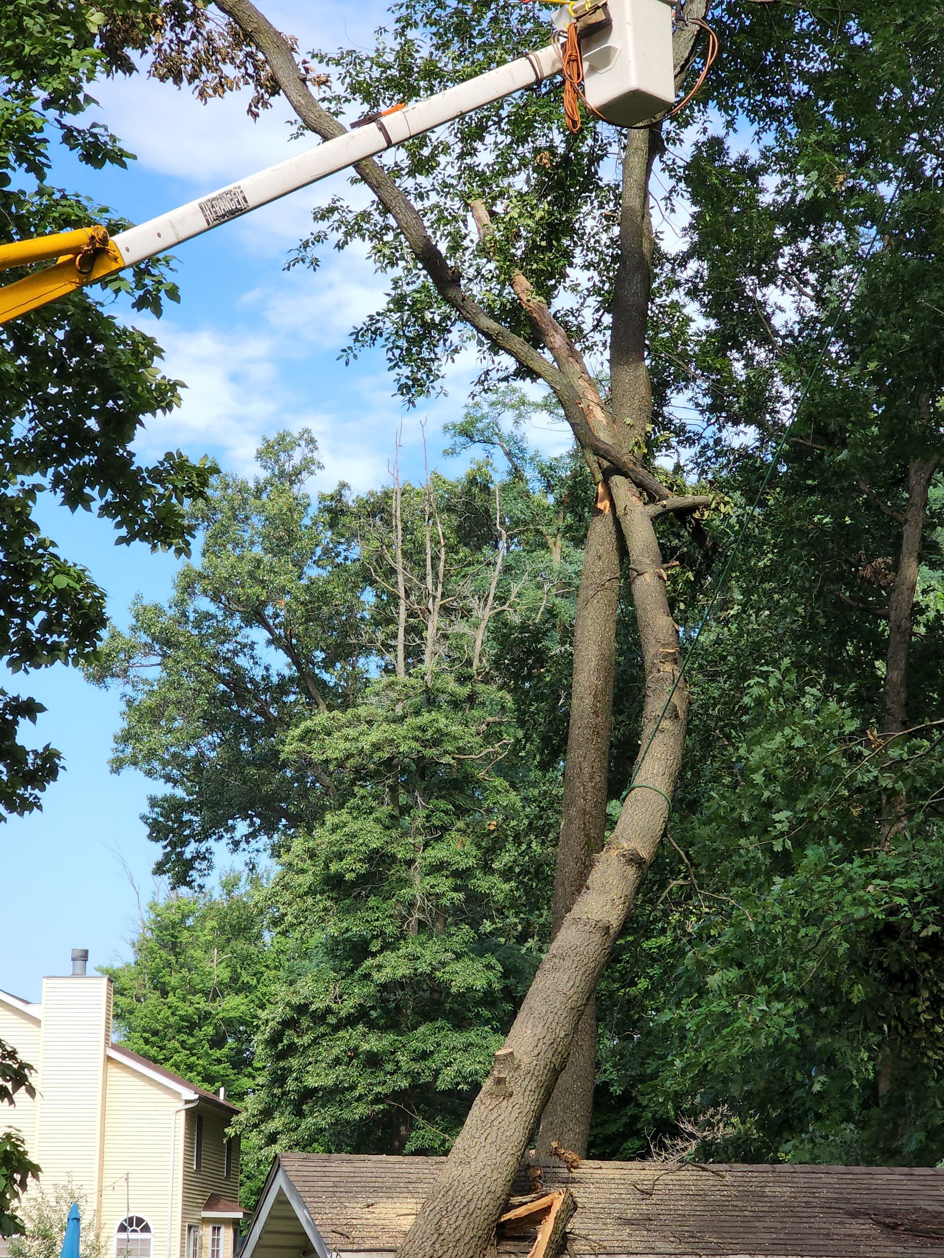 Emergency Tree Service, Porter and Lake County