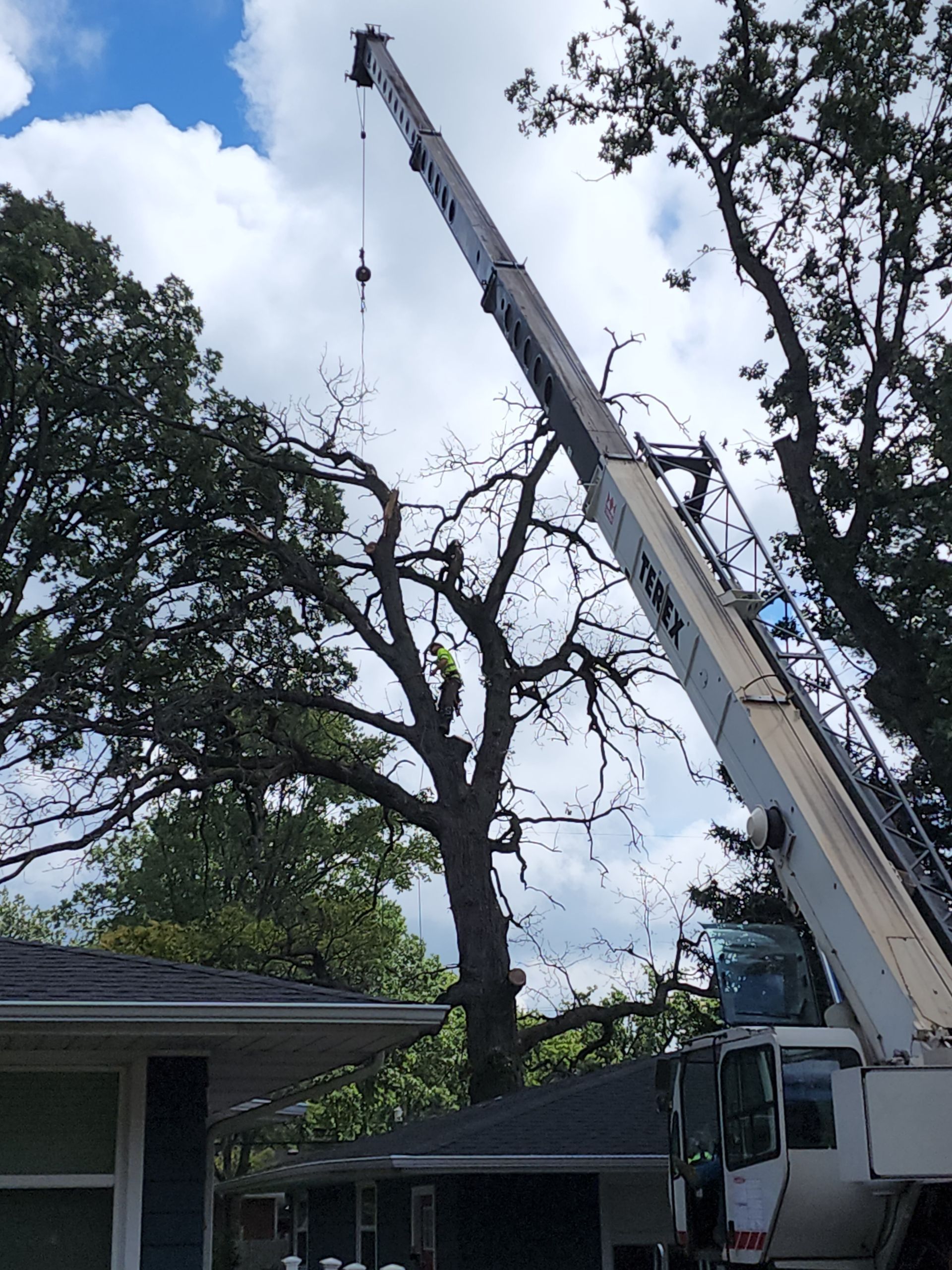 A crane is cutting a tree in front of a house