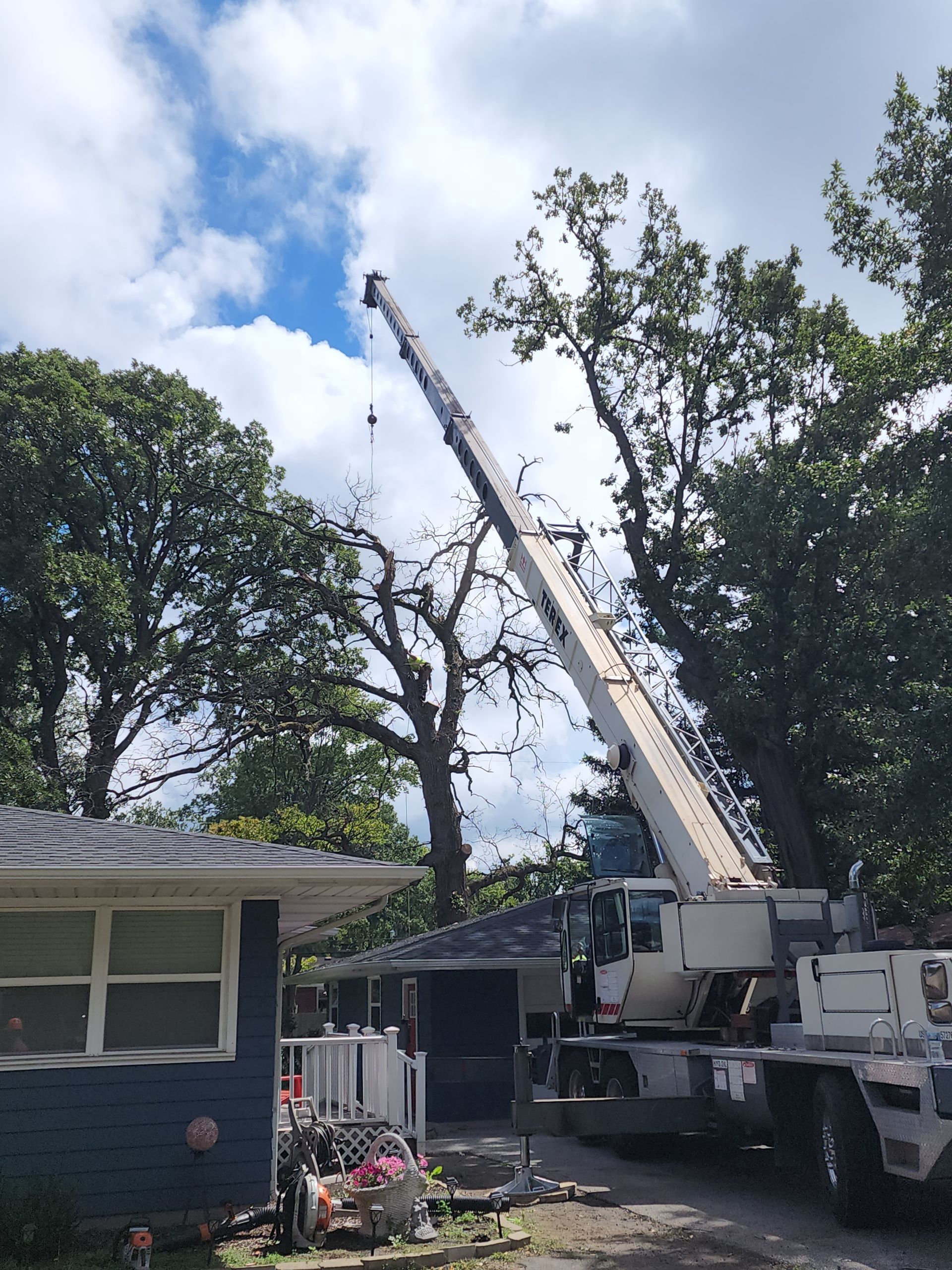 A crane is cutting a tree in front of a house