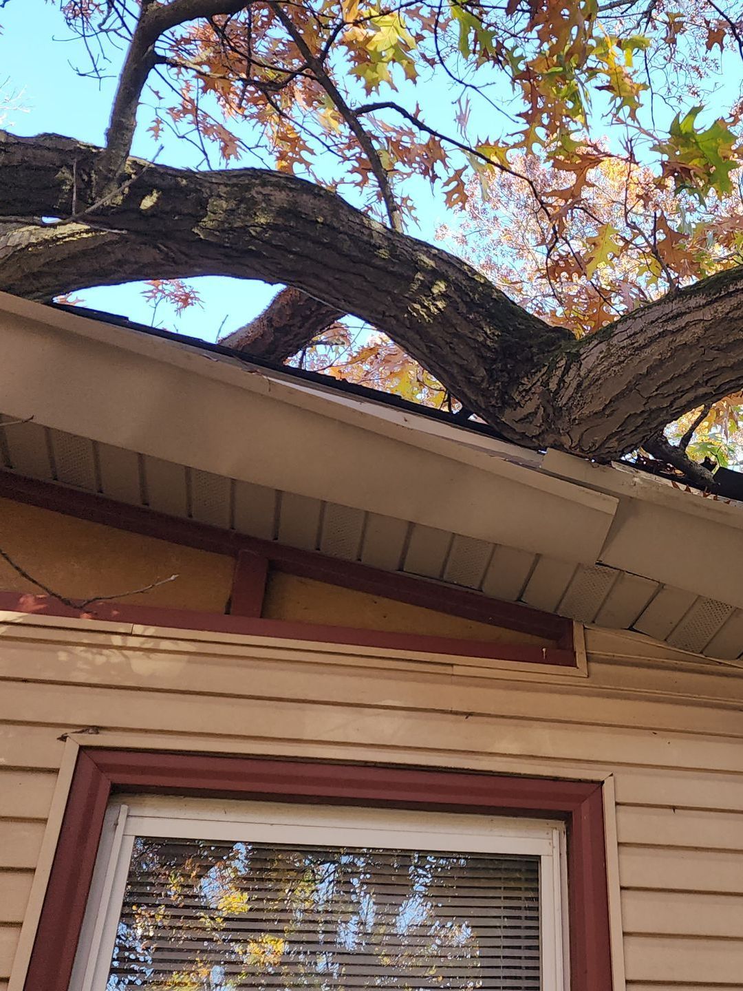 Emergency tree services Valparaiso, IN