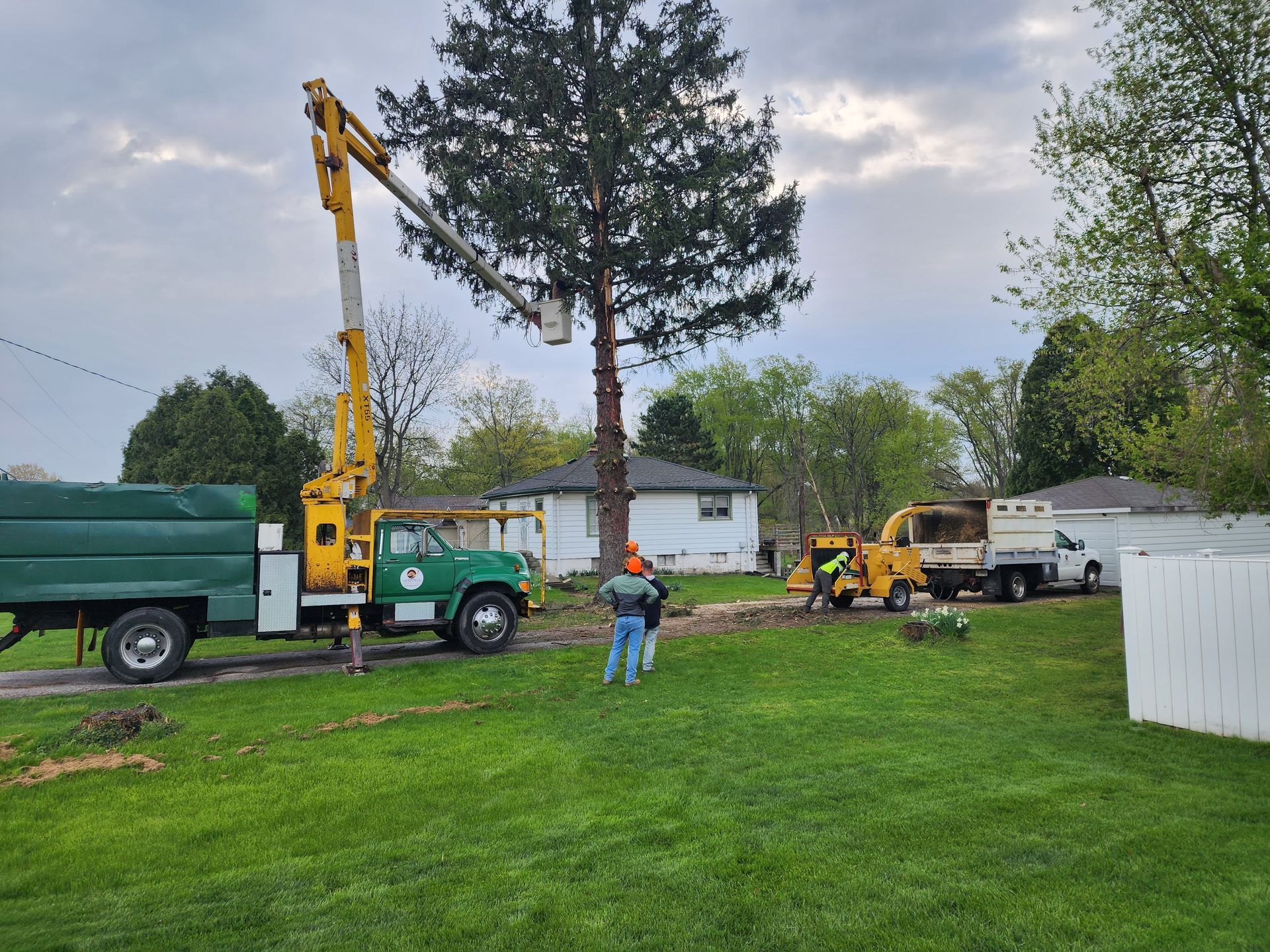A tree is being cut down by a crane in a yard in Chesterton, IN
