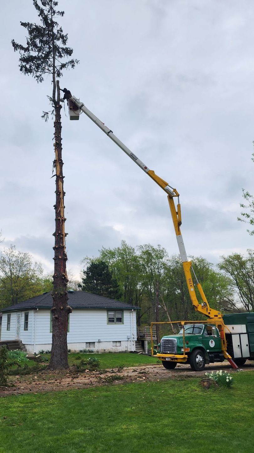 Tree Removal Ogden Dunes, IN