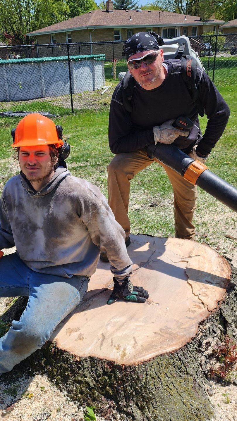 Ogden Dunes, IN, Stump Removal