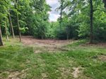 Lot Clearing Portage, IN