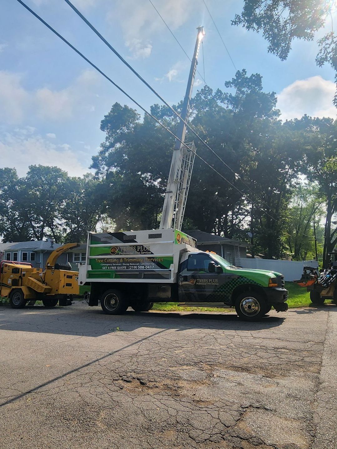 Tree Removal Chesterton, IN