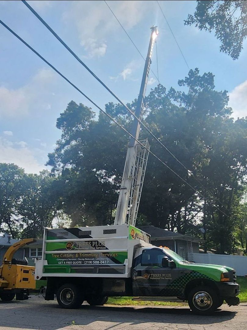 Trees Plus Emergency Tree Removal