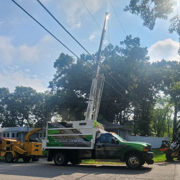 Tree Service Truck with Crane in Portage, Indiana