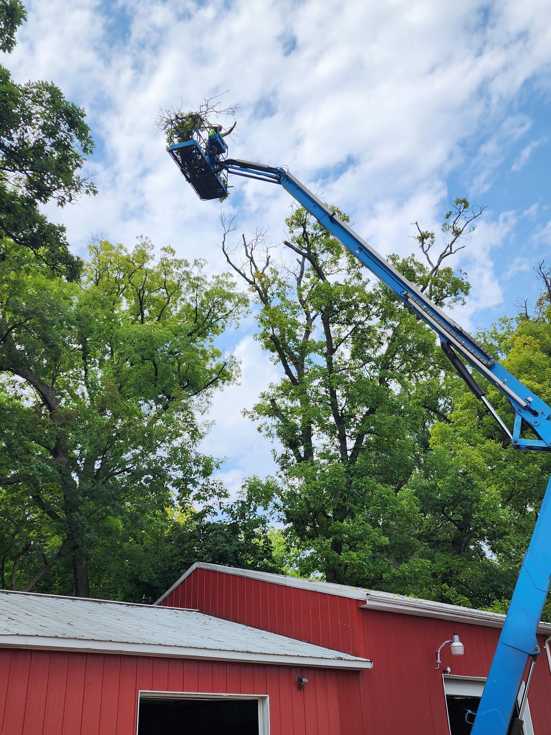 A blue crane is lifting a tree in front of a red barn.