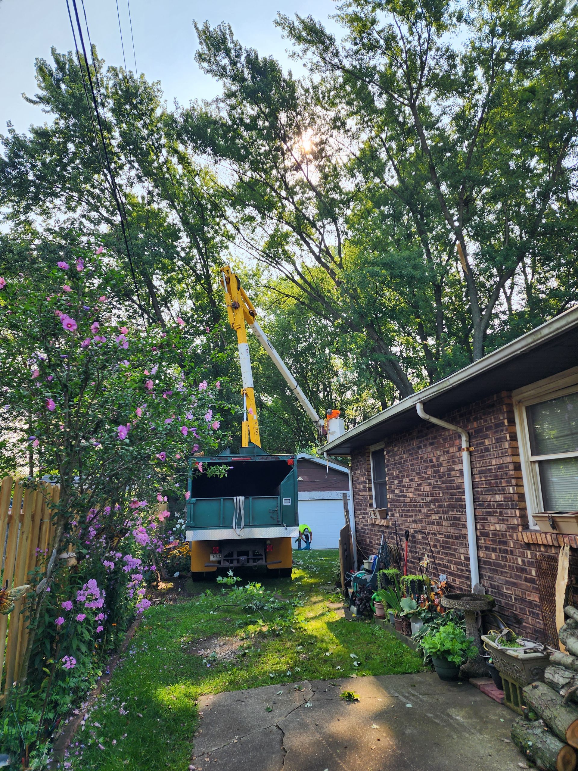 A crane is cutting a tree in front of a house.