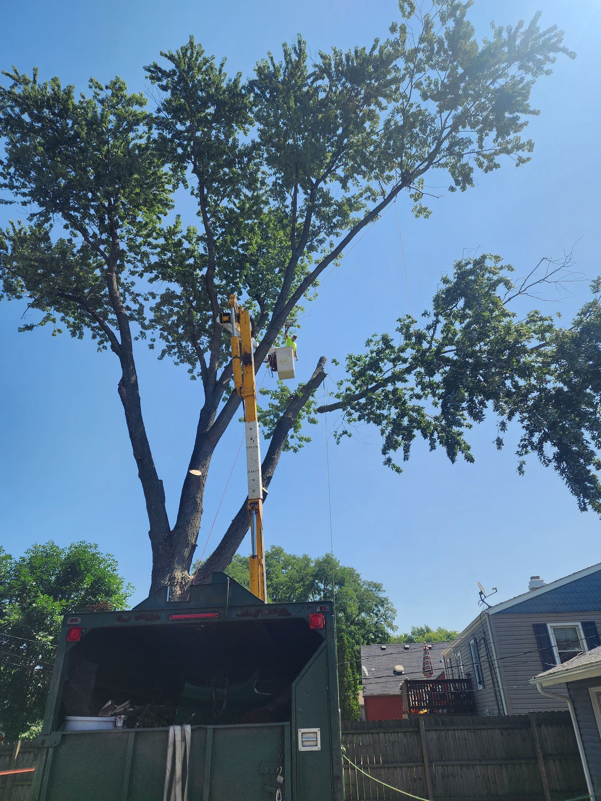 A tree is being cut down by a truck with a crane attached to it.