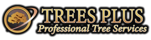 Trees Plus Logo