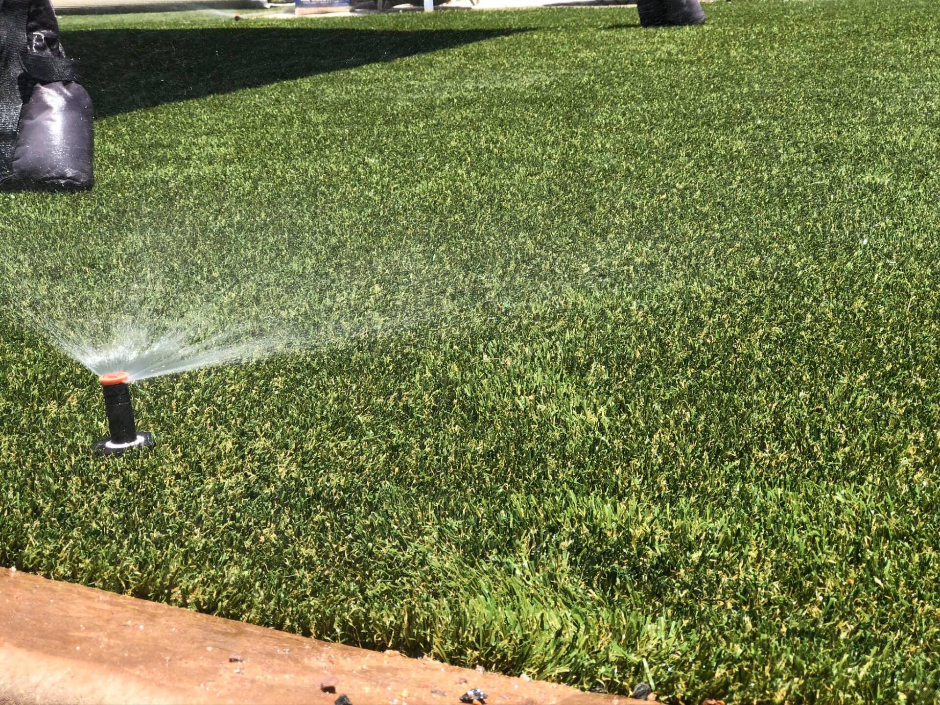 A sprinkler is spraying water on a lush green lawn.