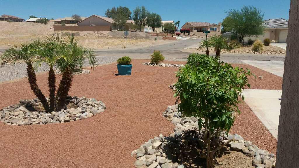 A garden with a lot of rocks and plants