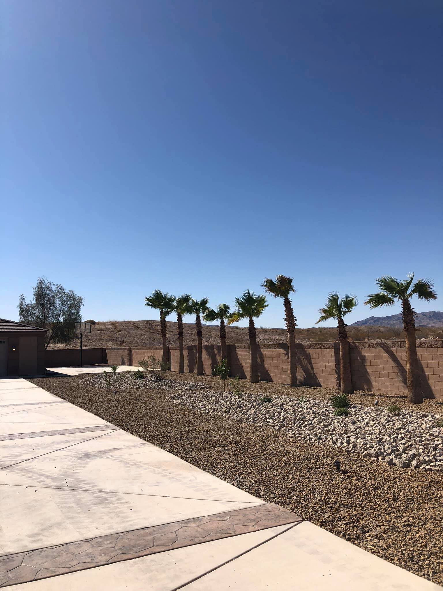 A row of palm trees are lined up in front of a house.