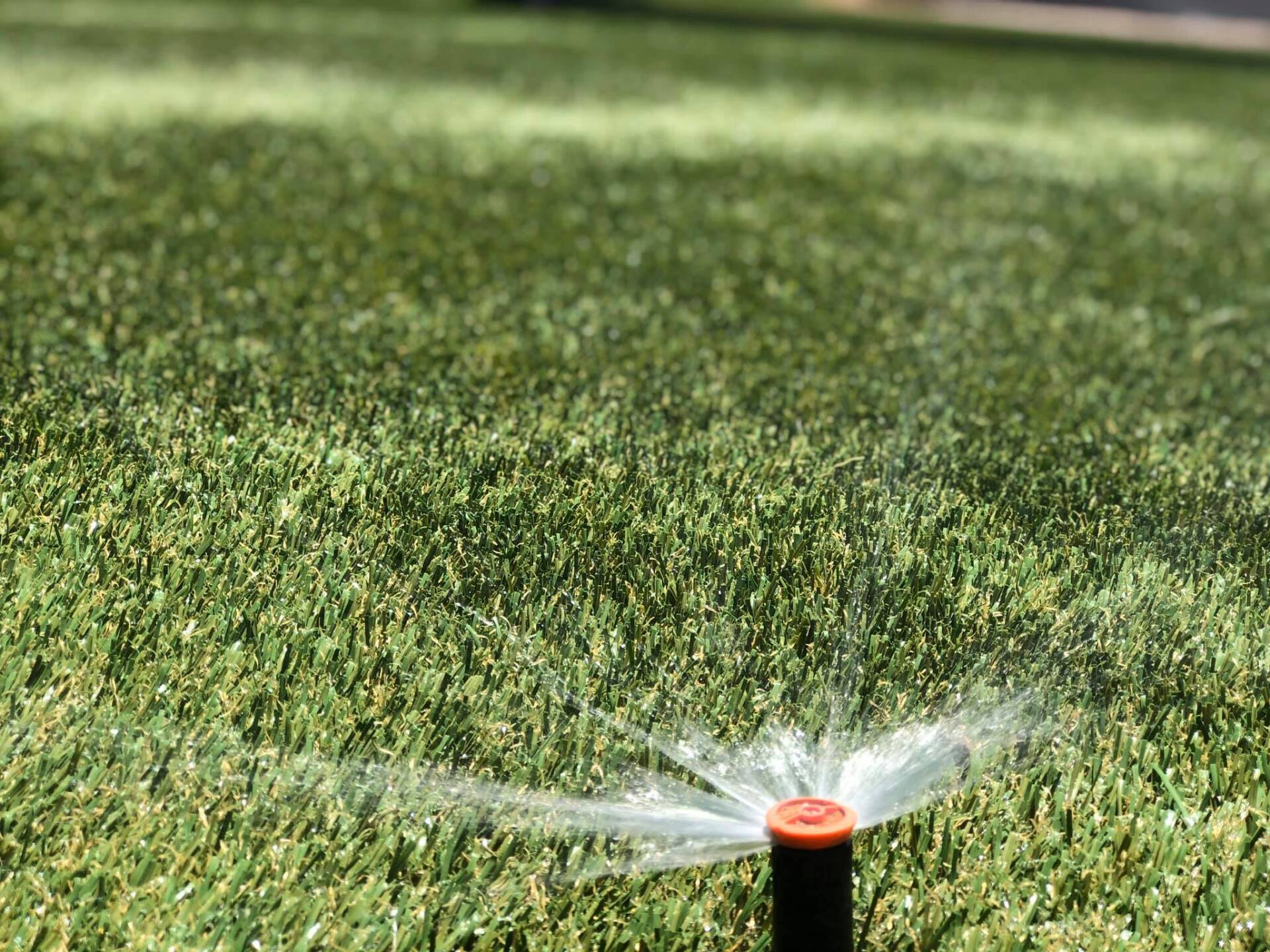 A sprinkler is spraying water on a lush green lawn.