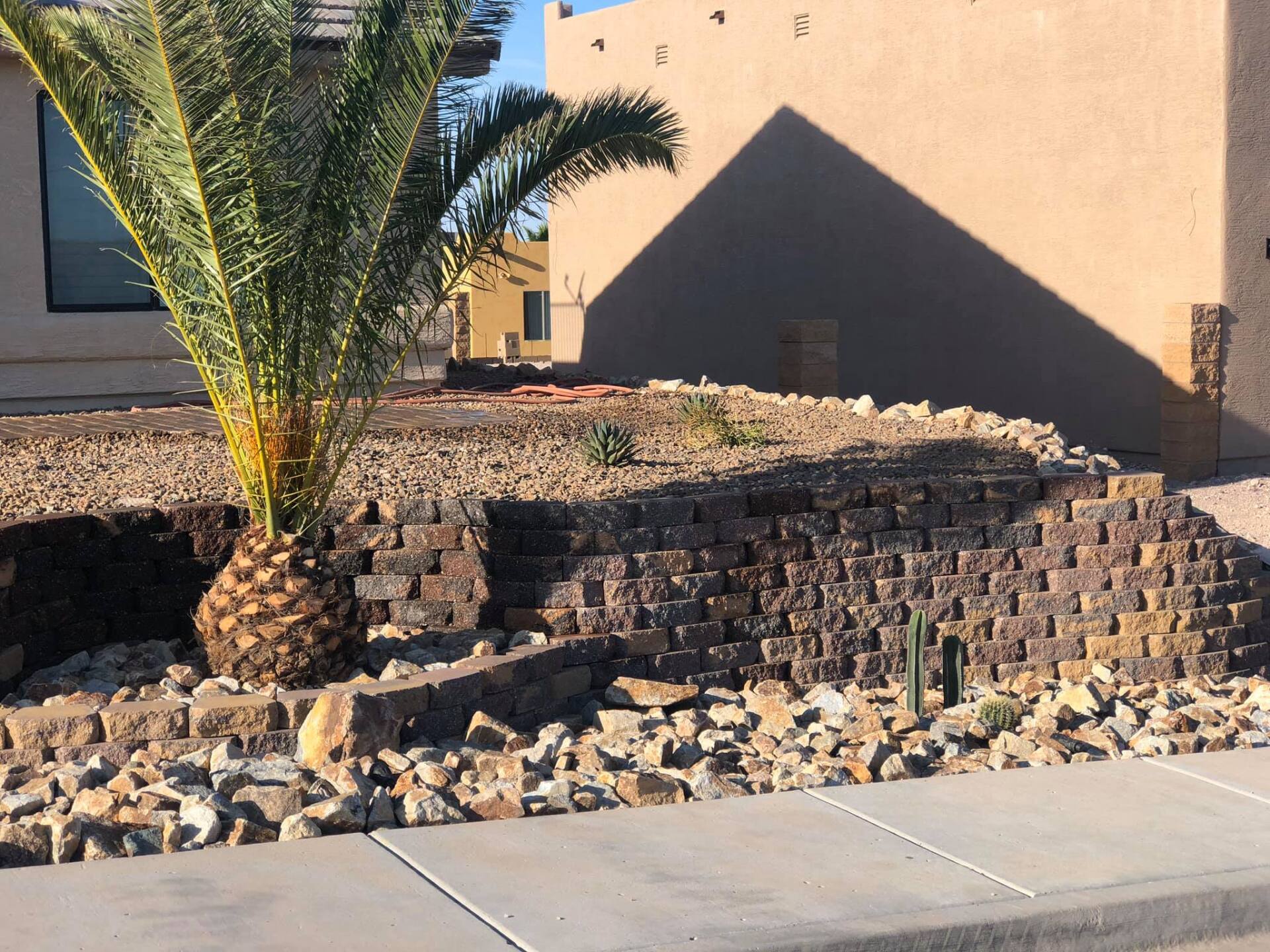 A palm tree stands in front of a brick wall