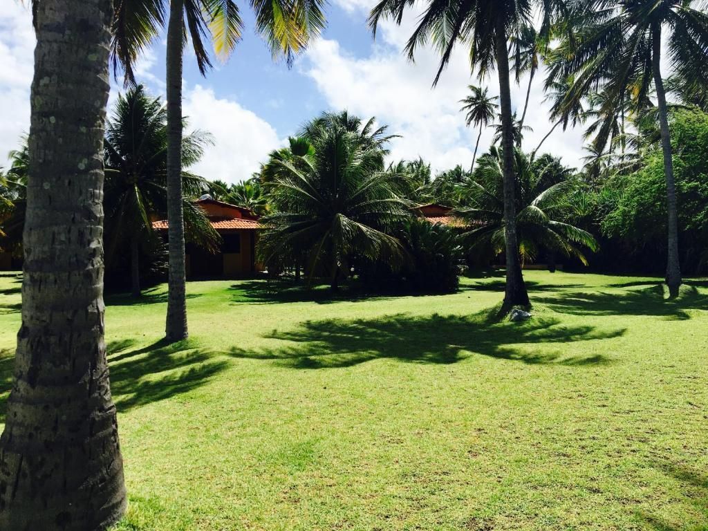 Gramado verdejante com palmeiras projetando sombras, um prédio com telhados alaranjados ao fundo sob um céu ensolarado.