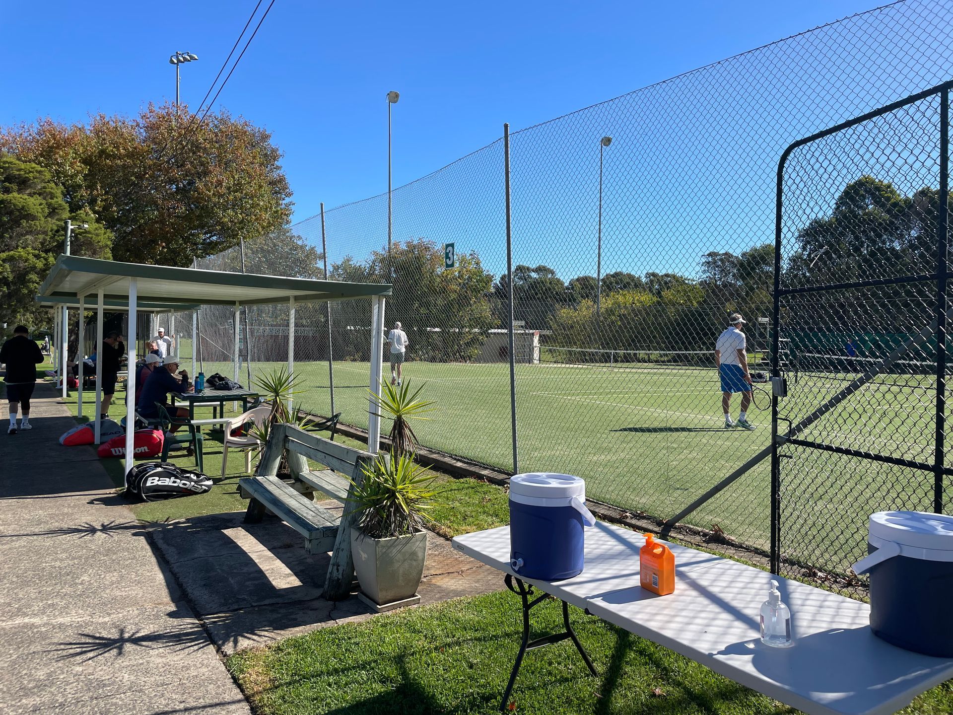 Tennis Seniors NSW