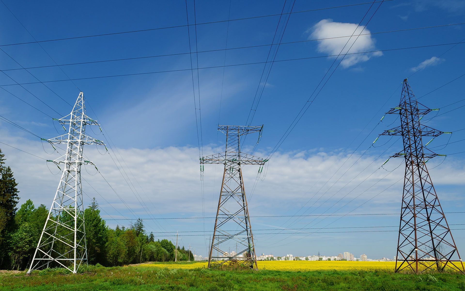 Three power pylons in a field of green grass and yellow flowers against a blue sky with clouds.