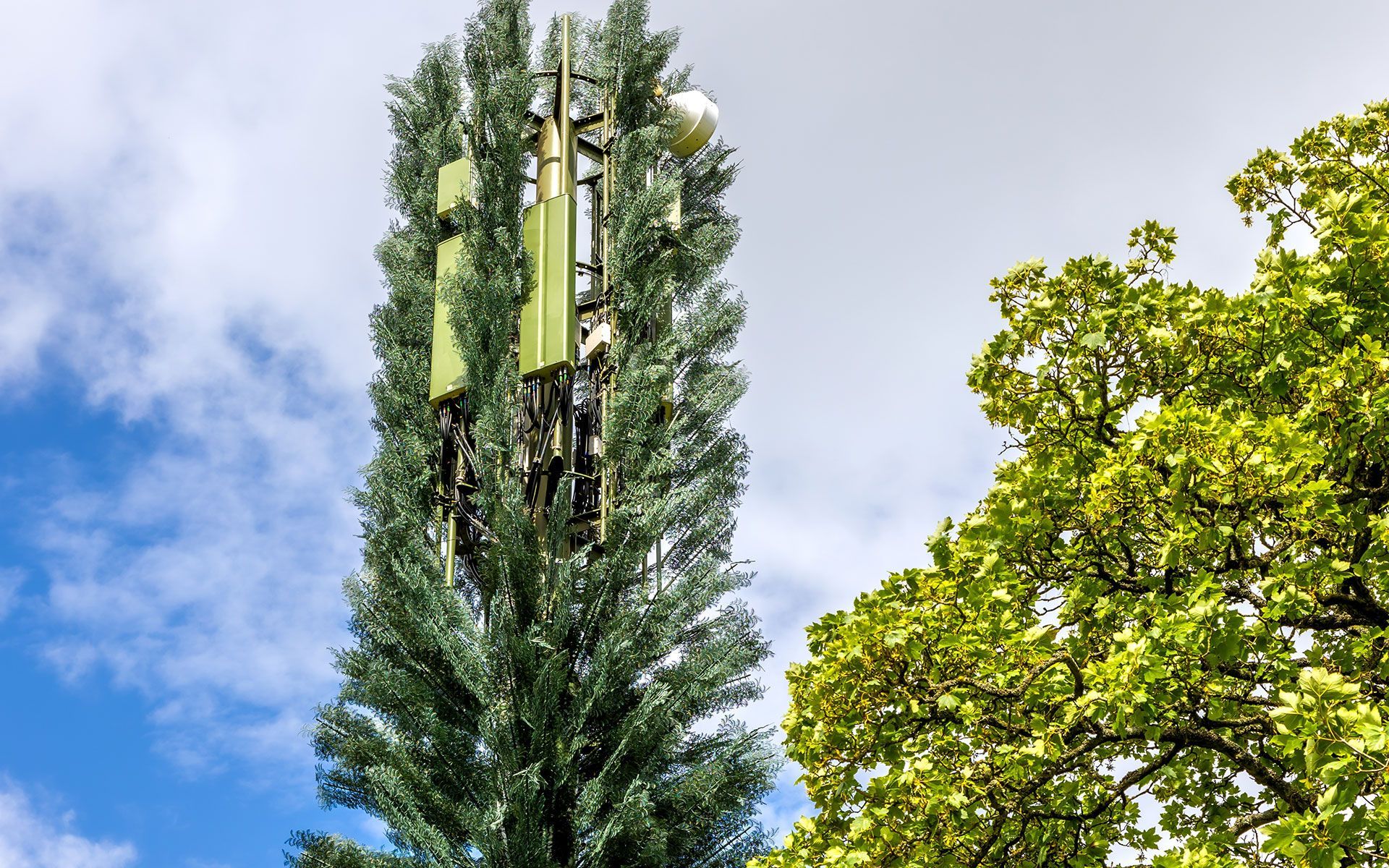 Cell phone tower disguised as a tree against a cloudy sky, next to green tree branches.