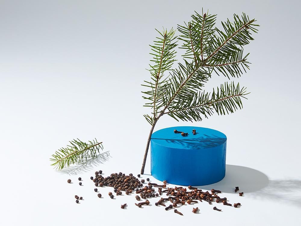Blue cylindrical object with a pine branch, cloves, and peppercorns against a white background.