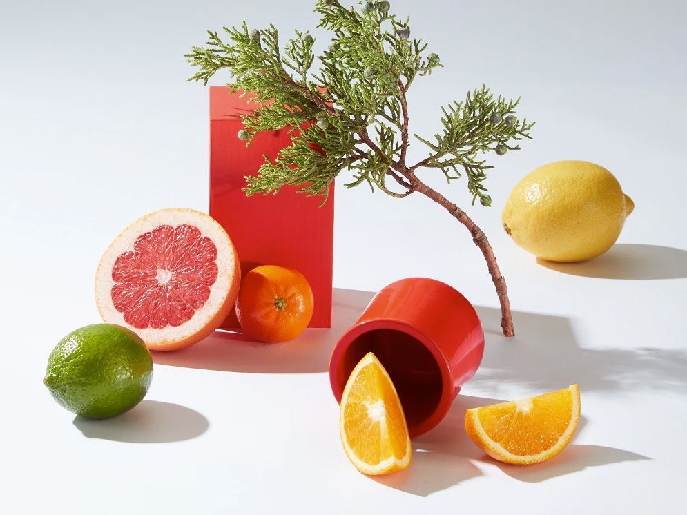 Citrus fruits (grapefruit, lime, lemon, orange) with a sprig of greenery and a red cup against a white background.