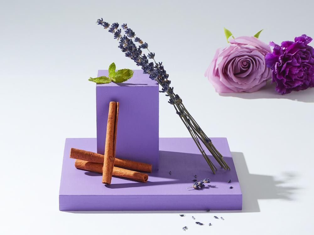 Cinnamon sticks, lavender sprigs, and purple flowers arranged on purple blocks against a white background.