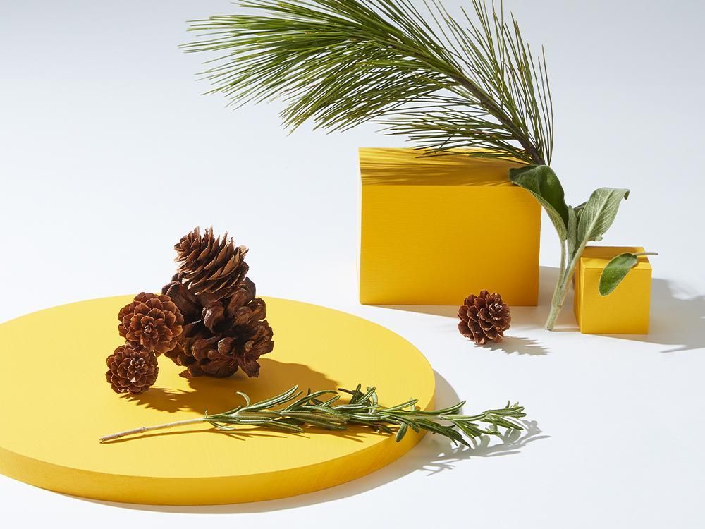 Yellow blocks and a round platform with pine cones, branches, and foliage against a white background.