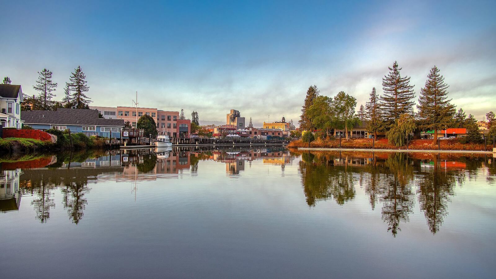 Cannabis Dispensary Near Petaluma