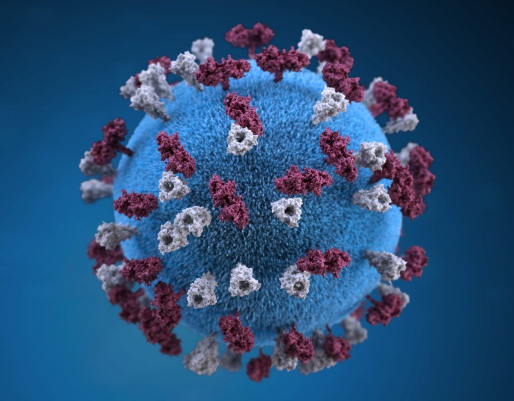 Illustration of a blue coronavirus particle covered in burgundy and white spike proteins against a blue background.