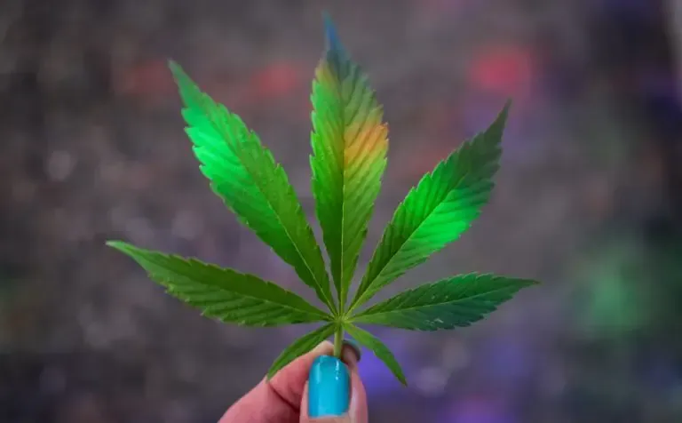 A hand with turquoise nail polish holds a cannabis leaf, which is lit with green and yellow hues against a blurry background.