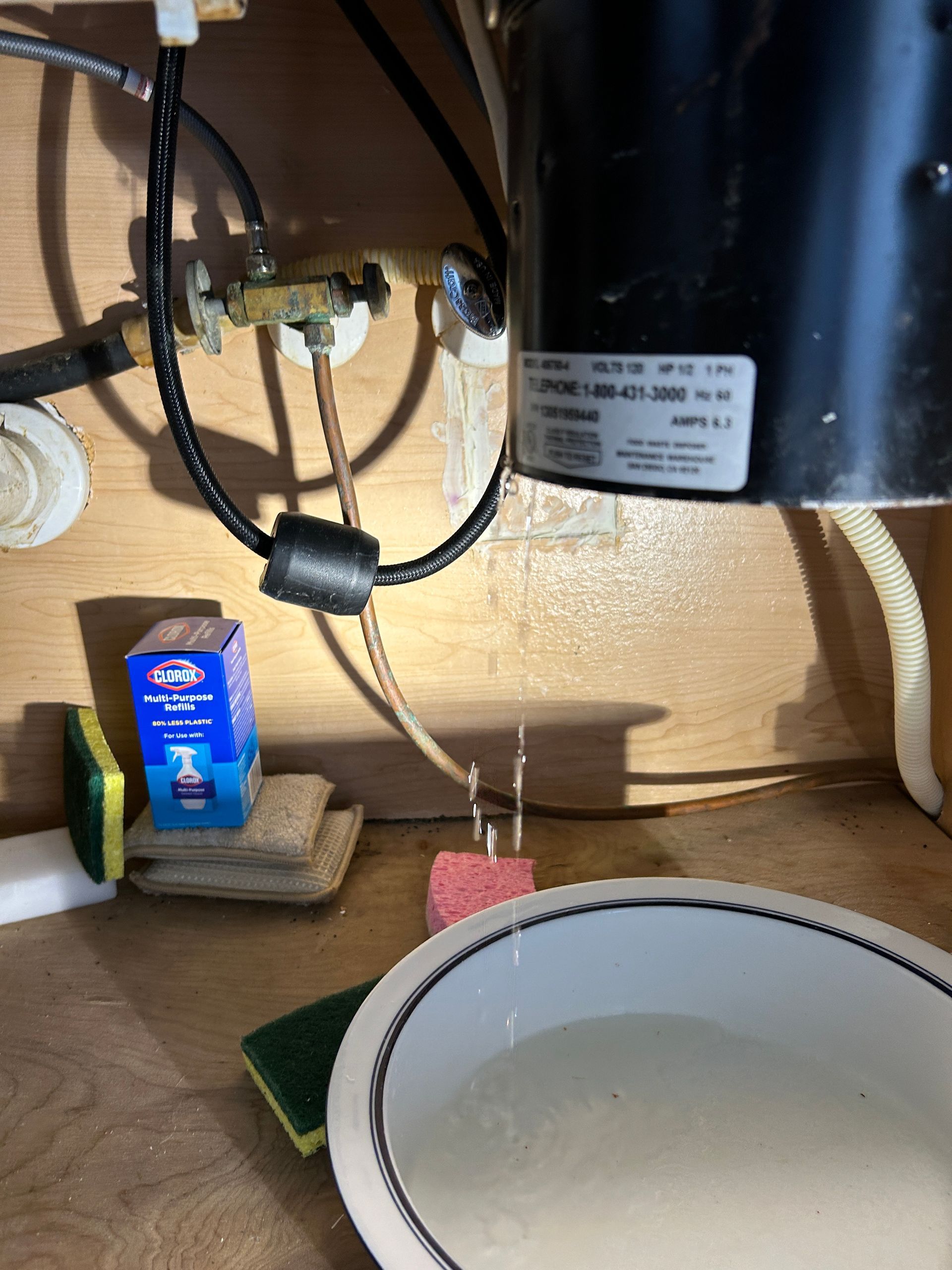 A bowl of water is sitting under a kitchen sink.