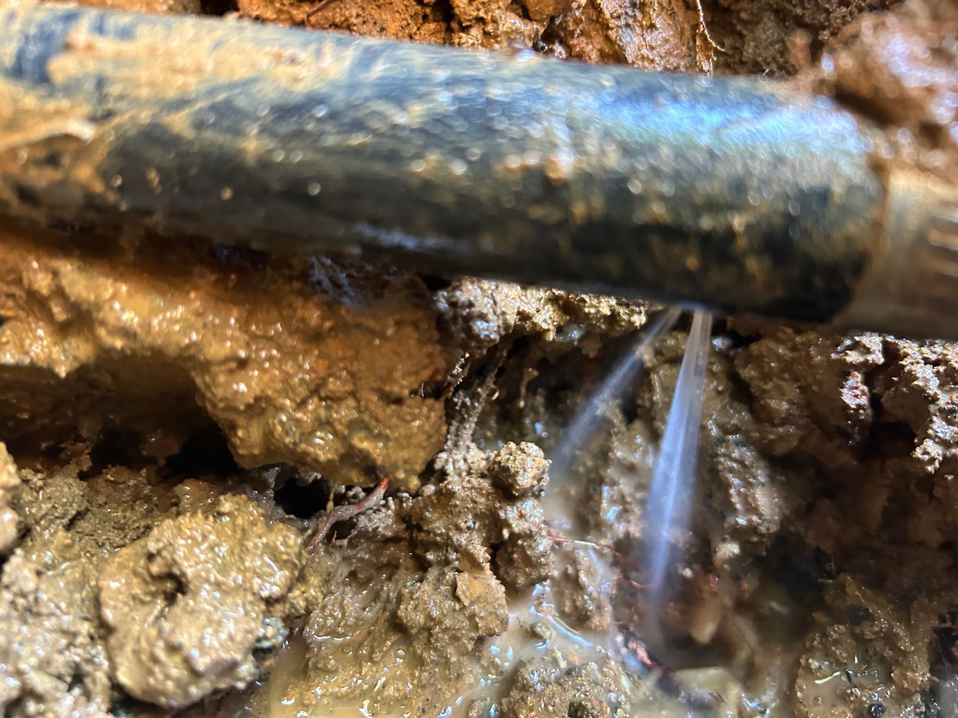 A pipe is leaking water into a muddy area.