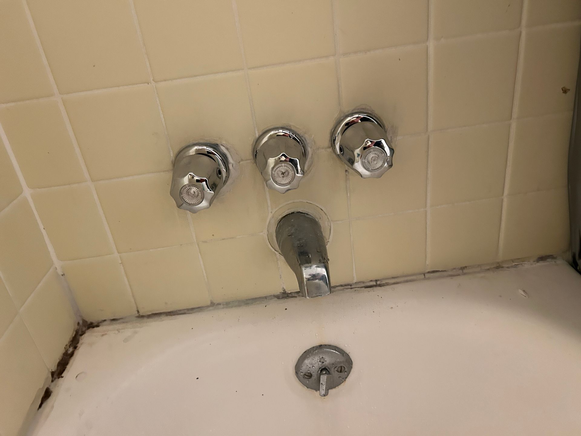 A bathroom with a bathtub , shower , and faucet.