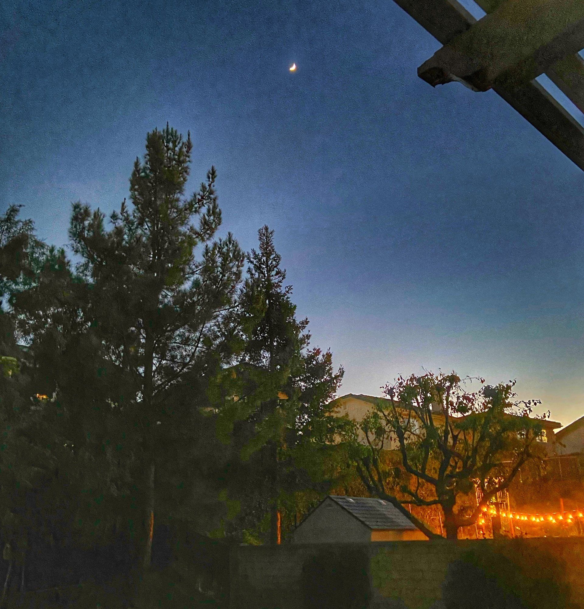 night sky, moon, january, warm, take a moment