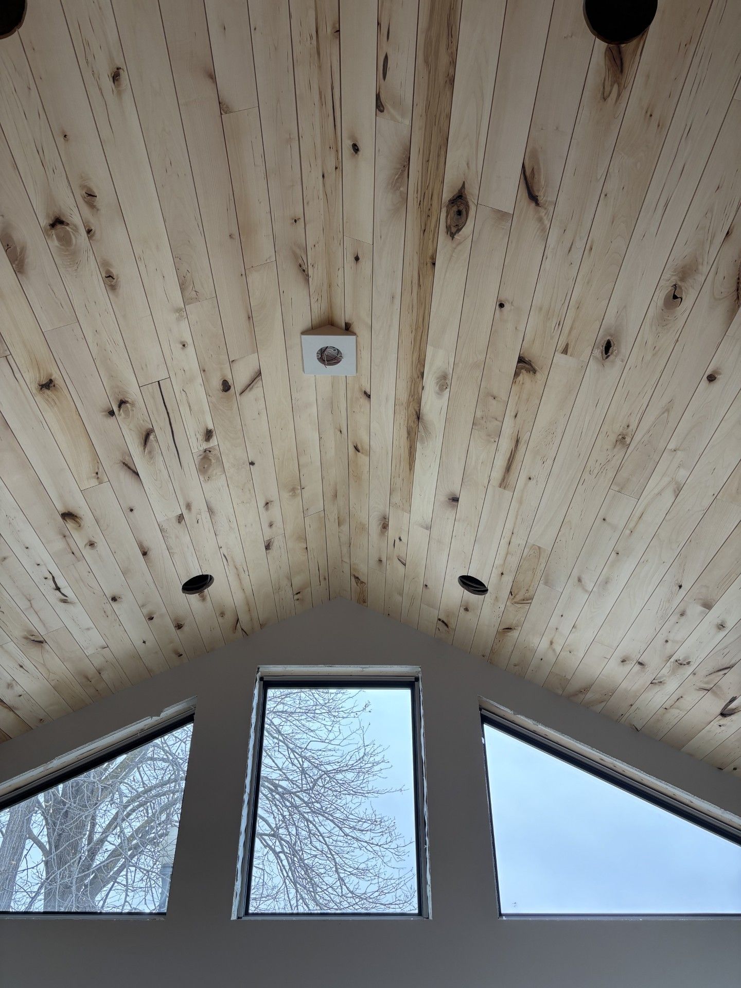 Wood Ceiling