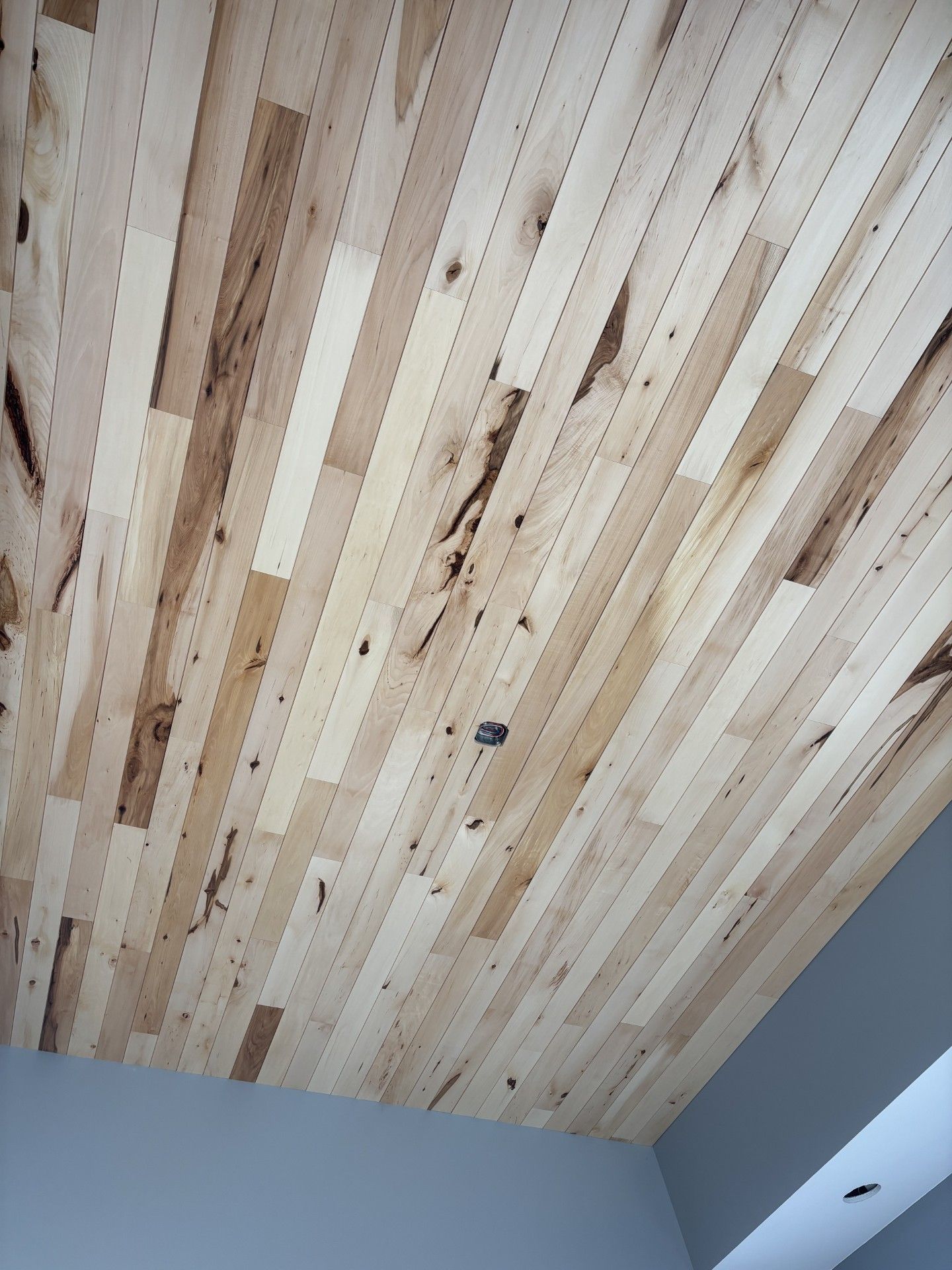Wood Ceiling